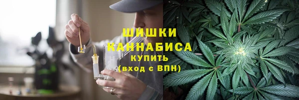 молекула духа Майский