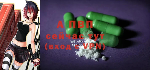 спиды Магас
