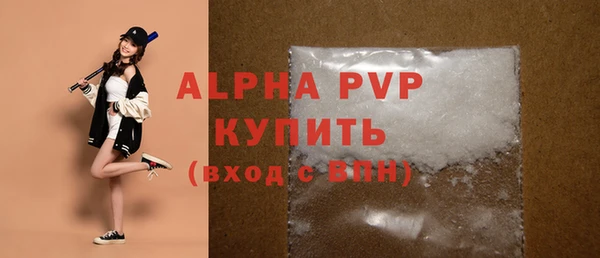 спиды Магас