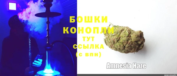 спиды Магас