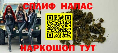 Альфа ПВП Гатчина