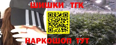 Альфа ПВП Гатчина