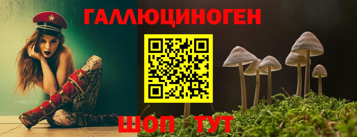 Сыктывкар  Псилоцибиновые грибы ЛСД  Вход с VPN 
